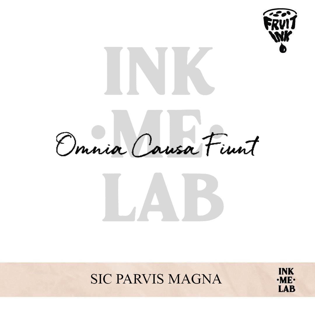 OMNIA CAUSA FIUNT | 4 x 16 cm