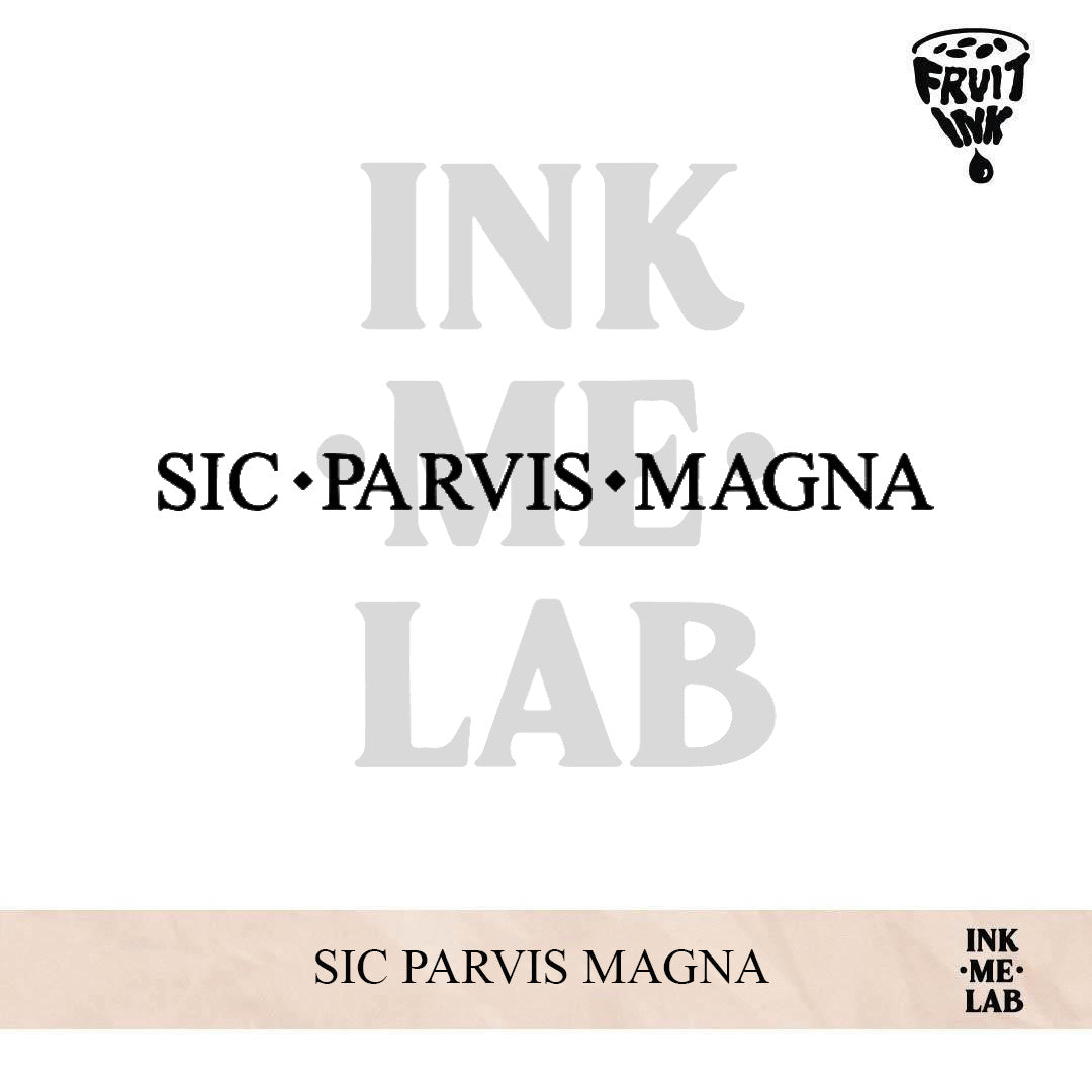 SIC PARVIS MAGNA | 4 x 16 cm