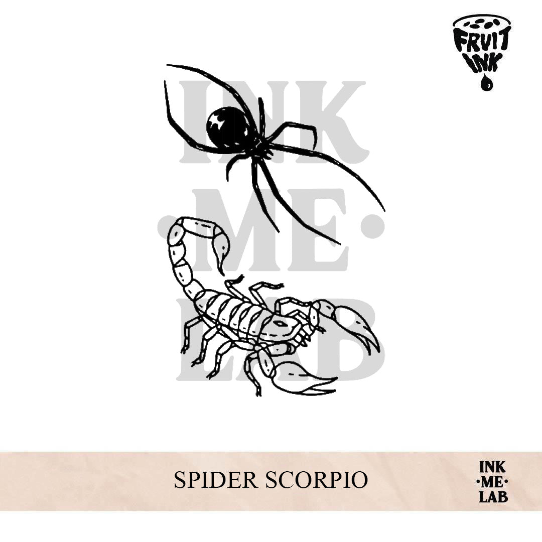 SPIDER SCORPIO | 10 x 7 cm