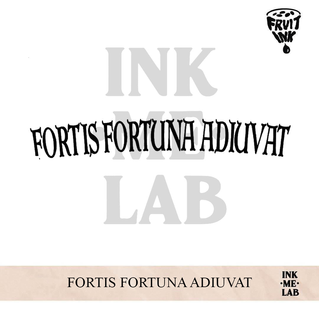 FORTIS FORTUNA ADIUVAT | 46 x 31 cm