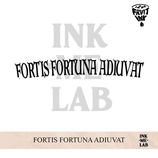 FORTIS FORTUNA ADIUVAT | 46 x 31 cm