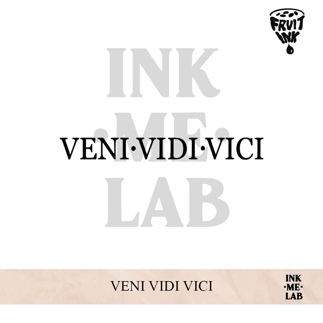 VENI VIDI VICI | 4 X 8 cm